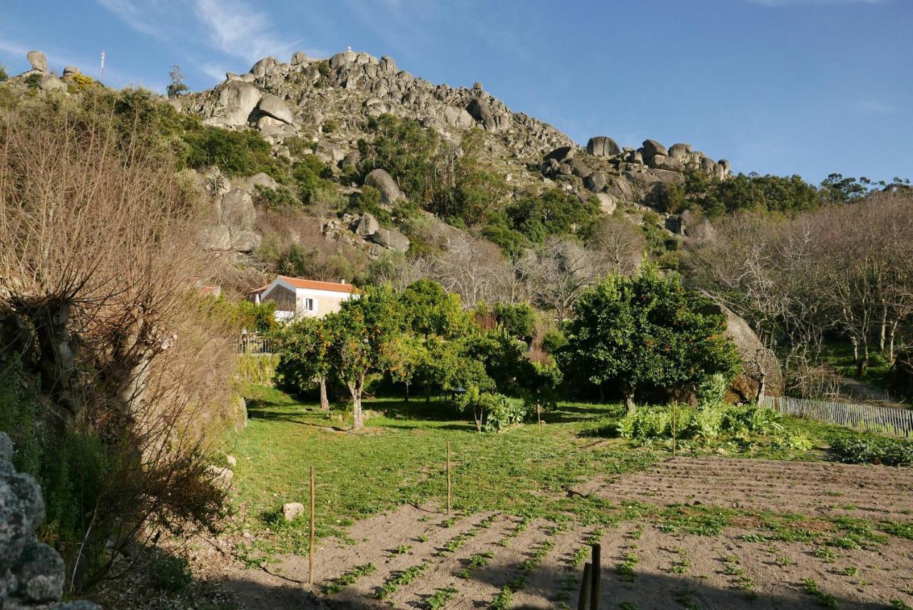 Quinta De Sao Pedro De Vir-A-Corca Em Monsanto Bed & Breakfast Eksteriør bilde