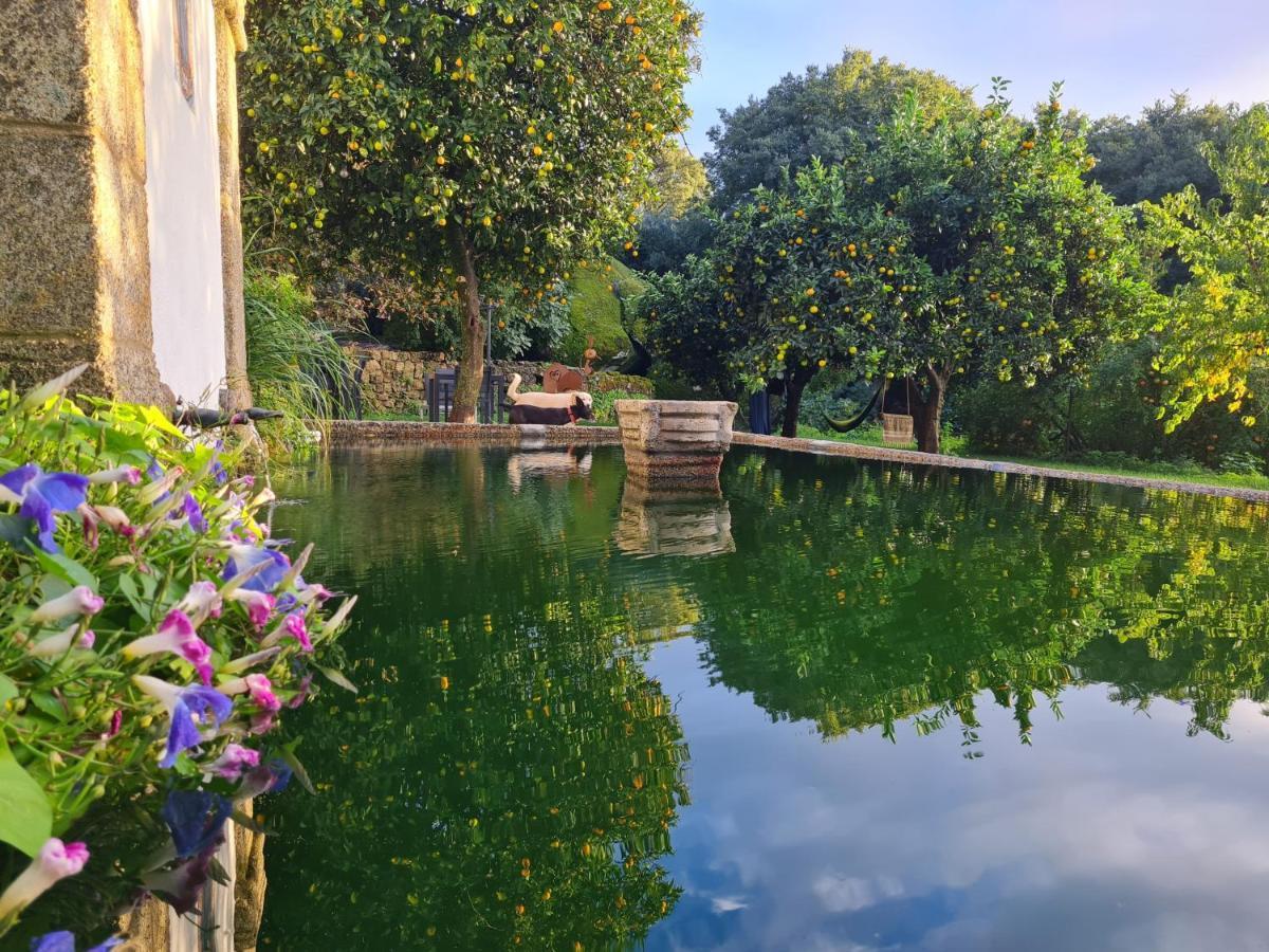 Quinta De Sao Pedro De Vir-A-Corca Em Monsanto Bed & Breakfast Eksteriør bilde