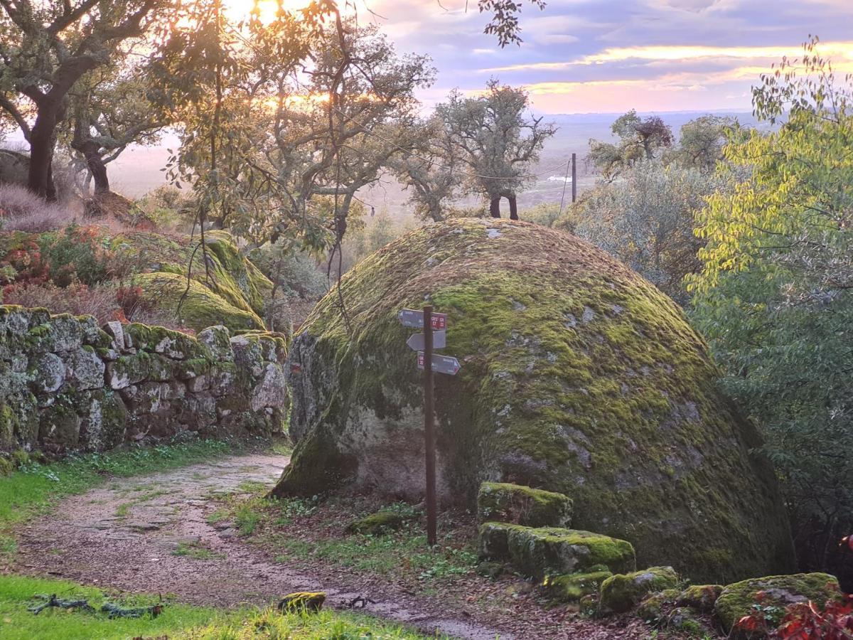 Quinta De Sao Pedro De Vir-A-Corca Em Monsanto Bed & Breakfast Eksteriør bilde